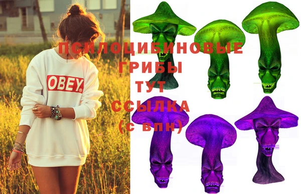 скорость Бронницы