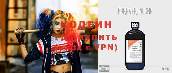 прущие грибы Елабуга