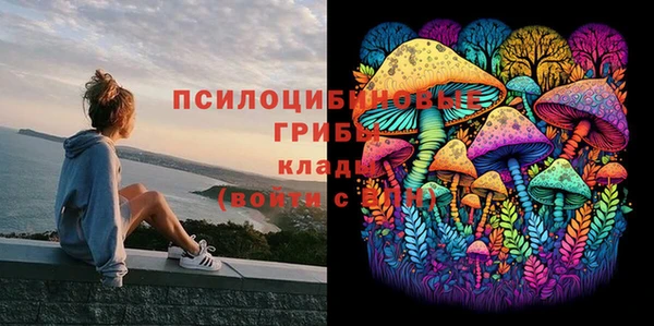 2c-b Бугульма