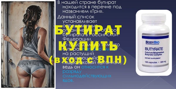 дживик Ельня
