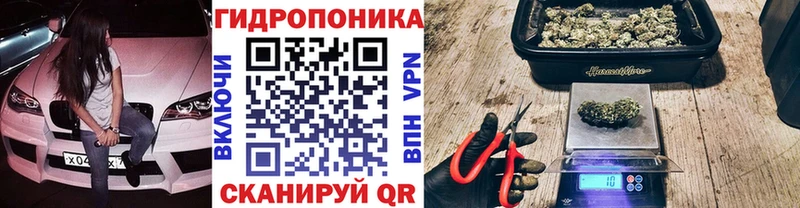 Бошки Шишки тримм  Городовиковск 